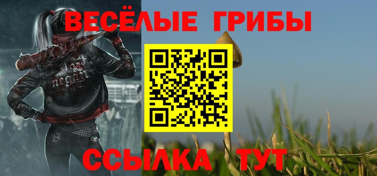 Псилоцибиновые грибы GOLDEN TEACHER  Вход с VPN  Нерюнгри 