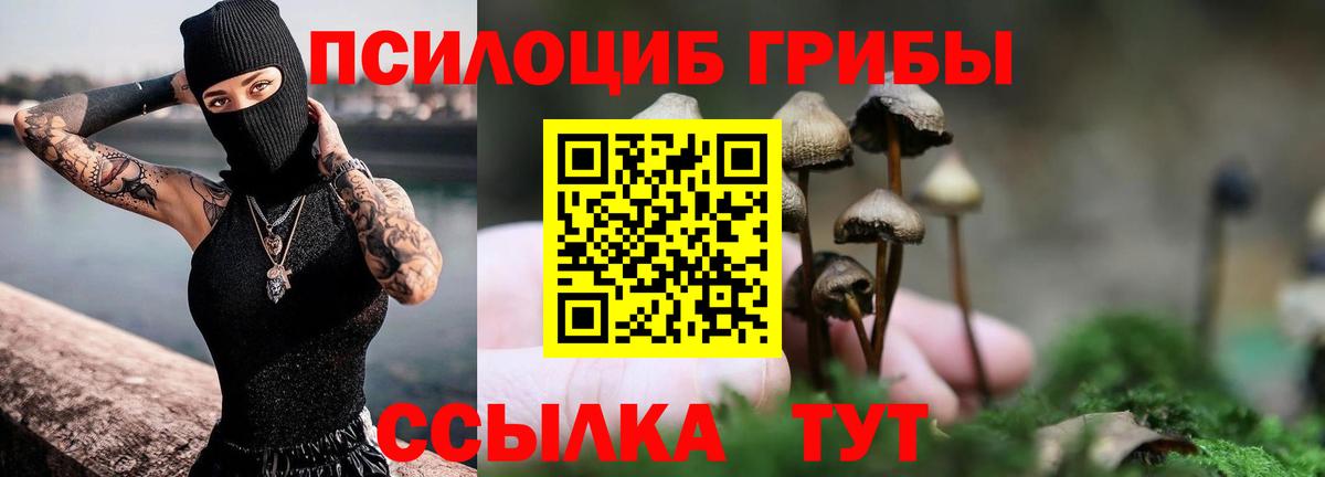 Галлюциногенные грибы мицелий Нерюнгри